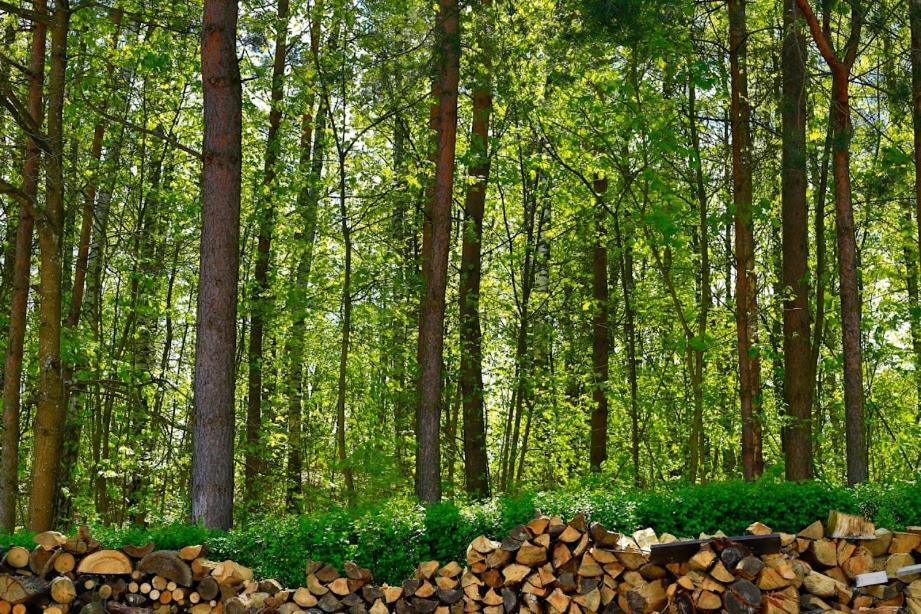 Hotel Osrodek Wypoczynkowy Gwarek Mazury Giżycko Esterno foto