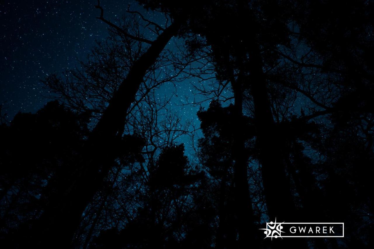 Hotel Osrodek Wypoczynkowy Gwarek Mazury Giżycko Esterno foto